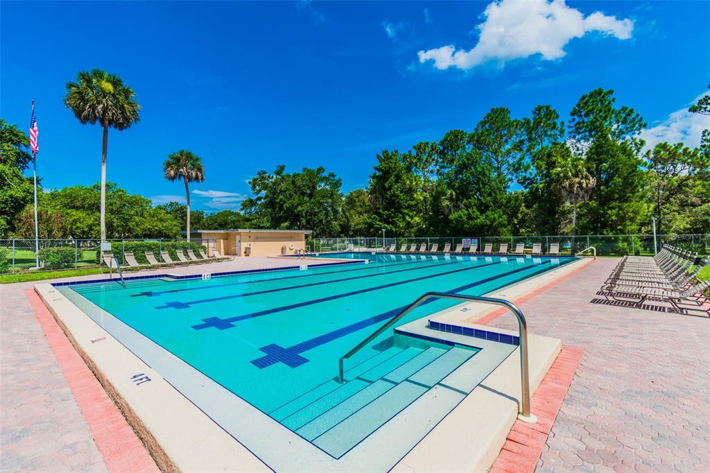 515 Sandy Hook Road Palm Harbor, FL 34683 - Photo 73 of 83 Gallery Image 73