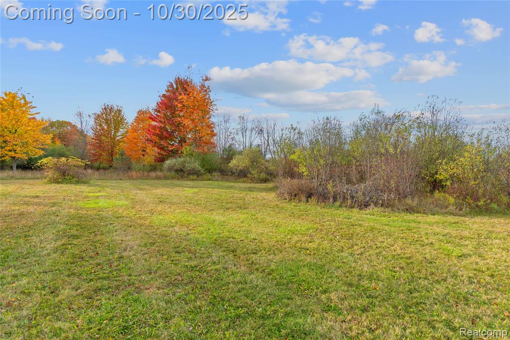7777 Jordan Road Yale, MI 48097 - Photo 29 of 63