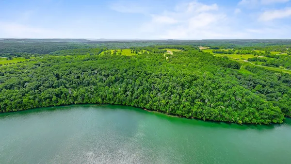 a view of a lush green field