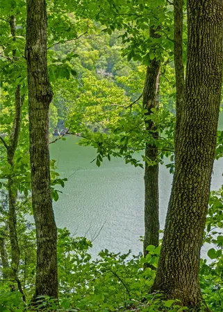 $125,000 | 7 J Potts Camp Road, Smithville, TN 37166