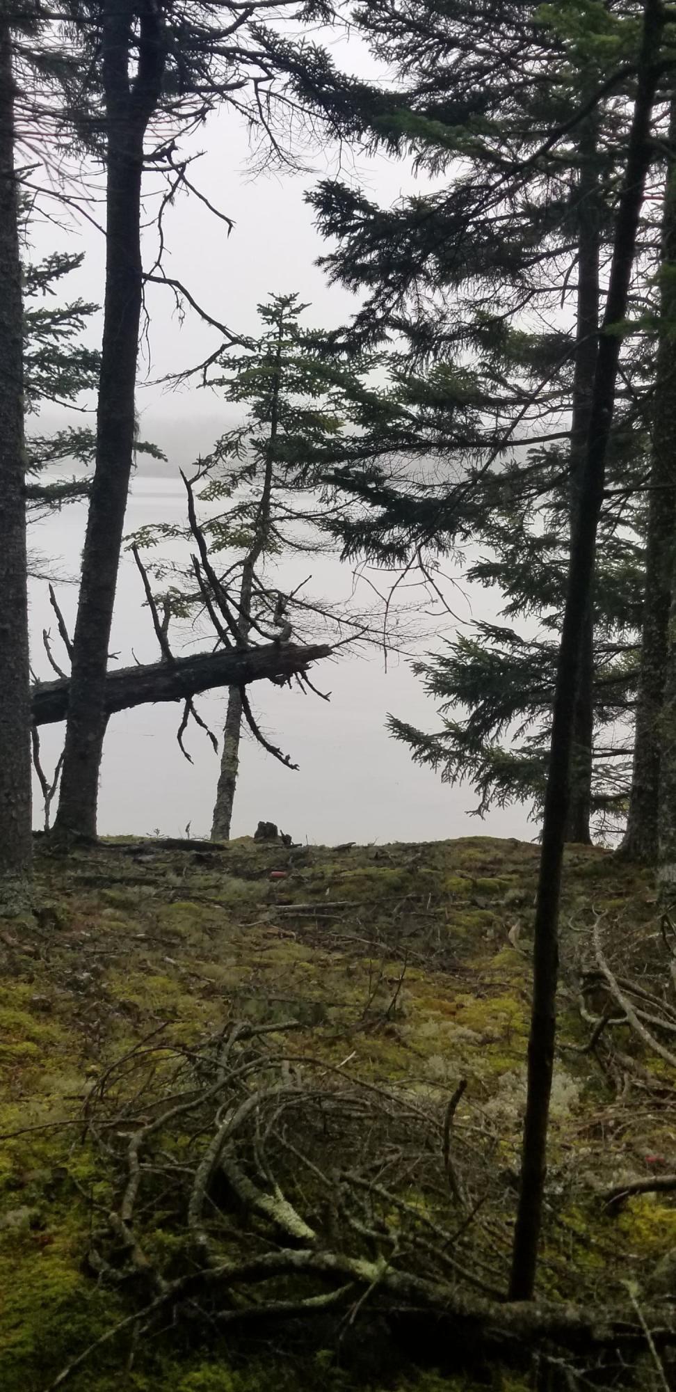 Lot 84 Windward Way Addison, ME 04606 - Photo 13 of 25 20201021_155755