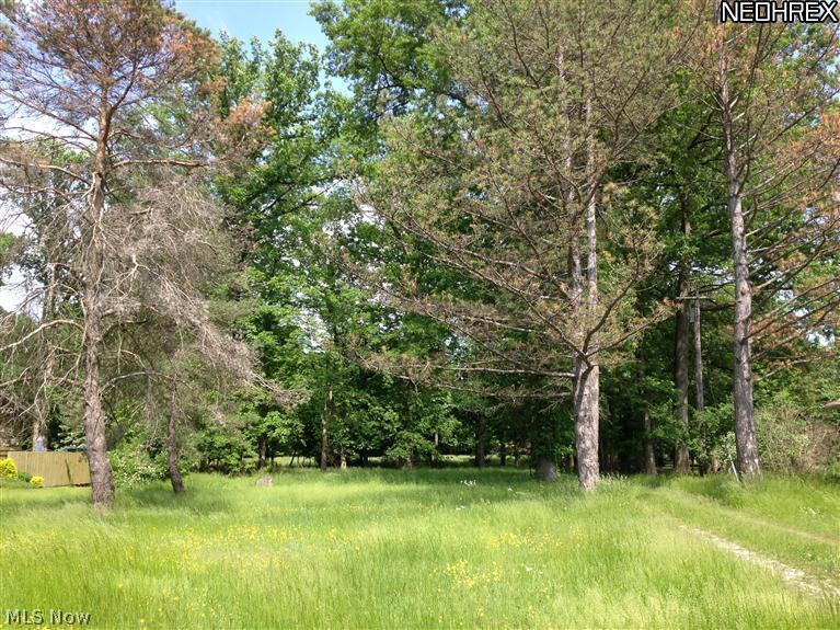 9889 Priem Road Strongsville, OH 44149 - Photo 2 of 5 Gallery Image 2