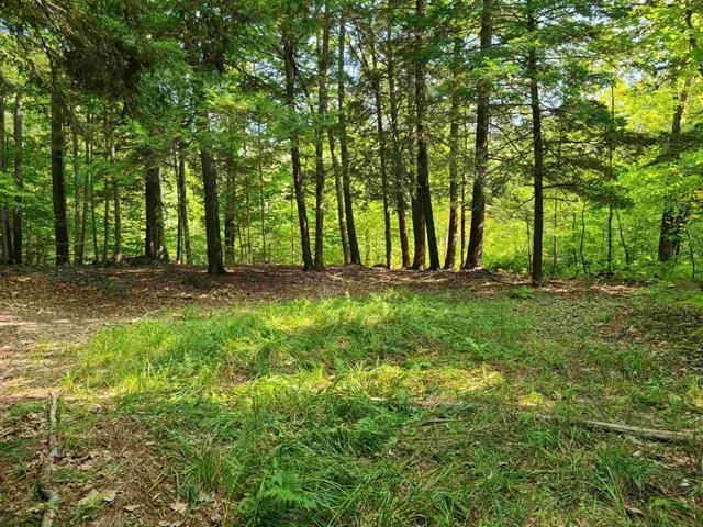 1 Pond Road, Unit 60 Moultonborough, NH 03254 - Photo 11 of 19 Gallery Image 11