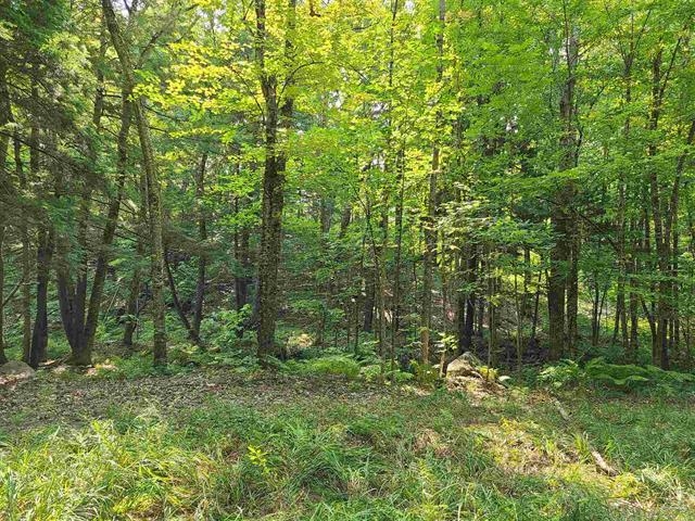 1 Pond Road, Unit 60 Moultonborough, NH 03254 - Photo 12 of 19 Gallery Image 12