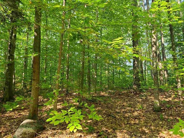 1 Pond Road, Unit 60 Moultonborough, NH 03254 - Photo 13 of 19 Gallery Image 13