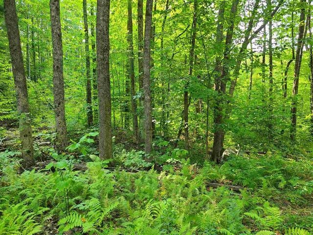 1 Pond Road, Unit 60 Moultonborough, NH 03254 - Photo 16 of 19 Gallery Image 16