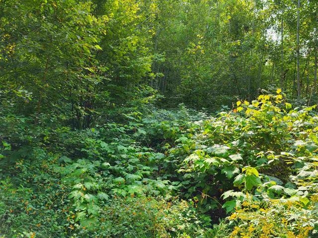 1 Pond Road, Unit 60 Moultonborough, NH 03254 - Photo 18 of 19 Gallery Image 18
