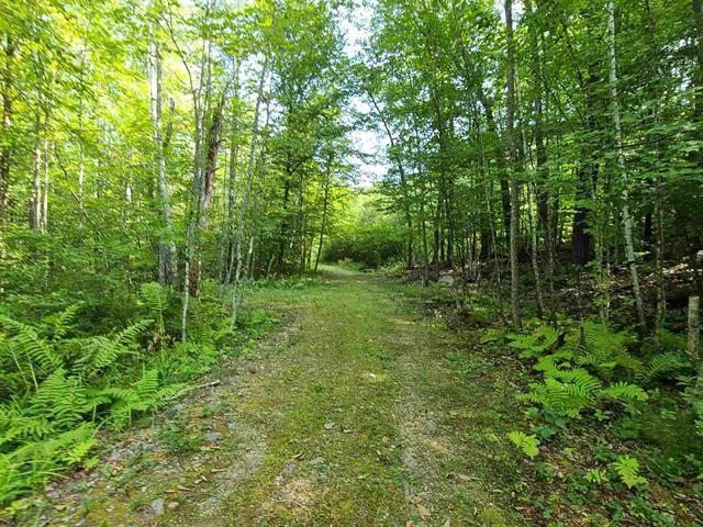 1 Pond Road, Unit 60 Moultonborough, NH 03254 - Photo 9 of 19 Gallery Image 9
