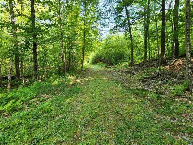 1 Pond Road, Unit 60 Moultonborough, NH 03254 - Photo 10 of 19 Gallery Image 10