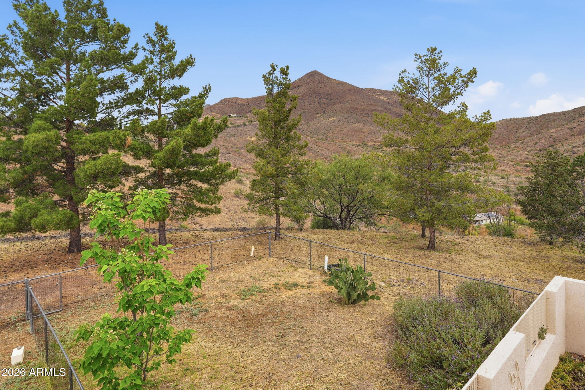428 Camino Canoa Rio Rico, AZ 85648 - Photo 49 of 56 a view of a yard with a tree