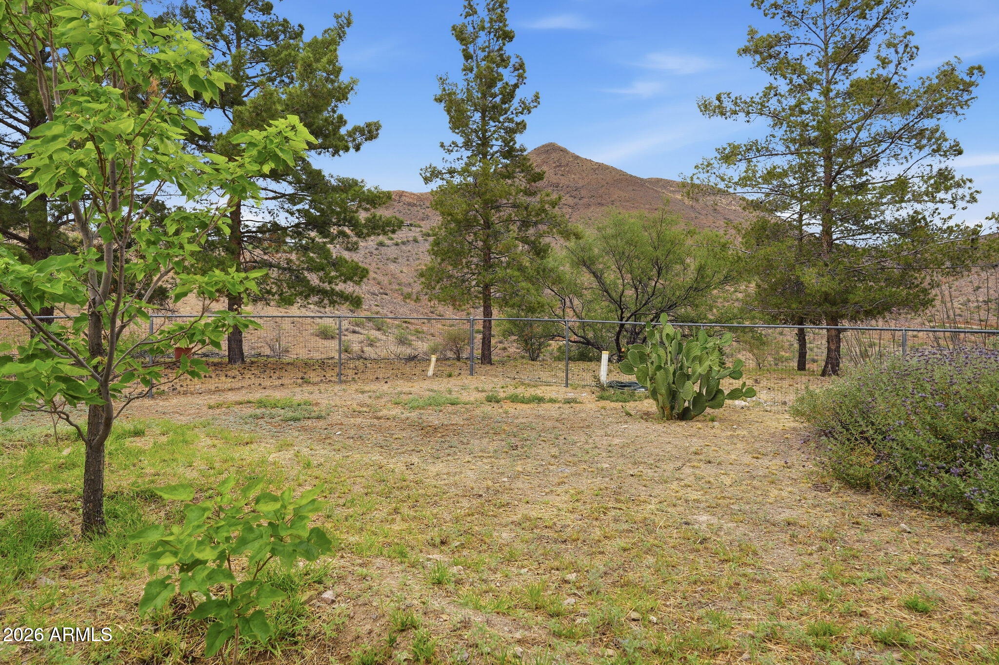 428 Camino Canoa Rio Rico, AZ 85648 - Photo 53 of 56 a view of backyard of house with green space