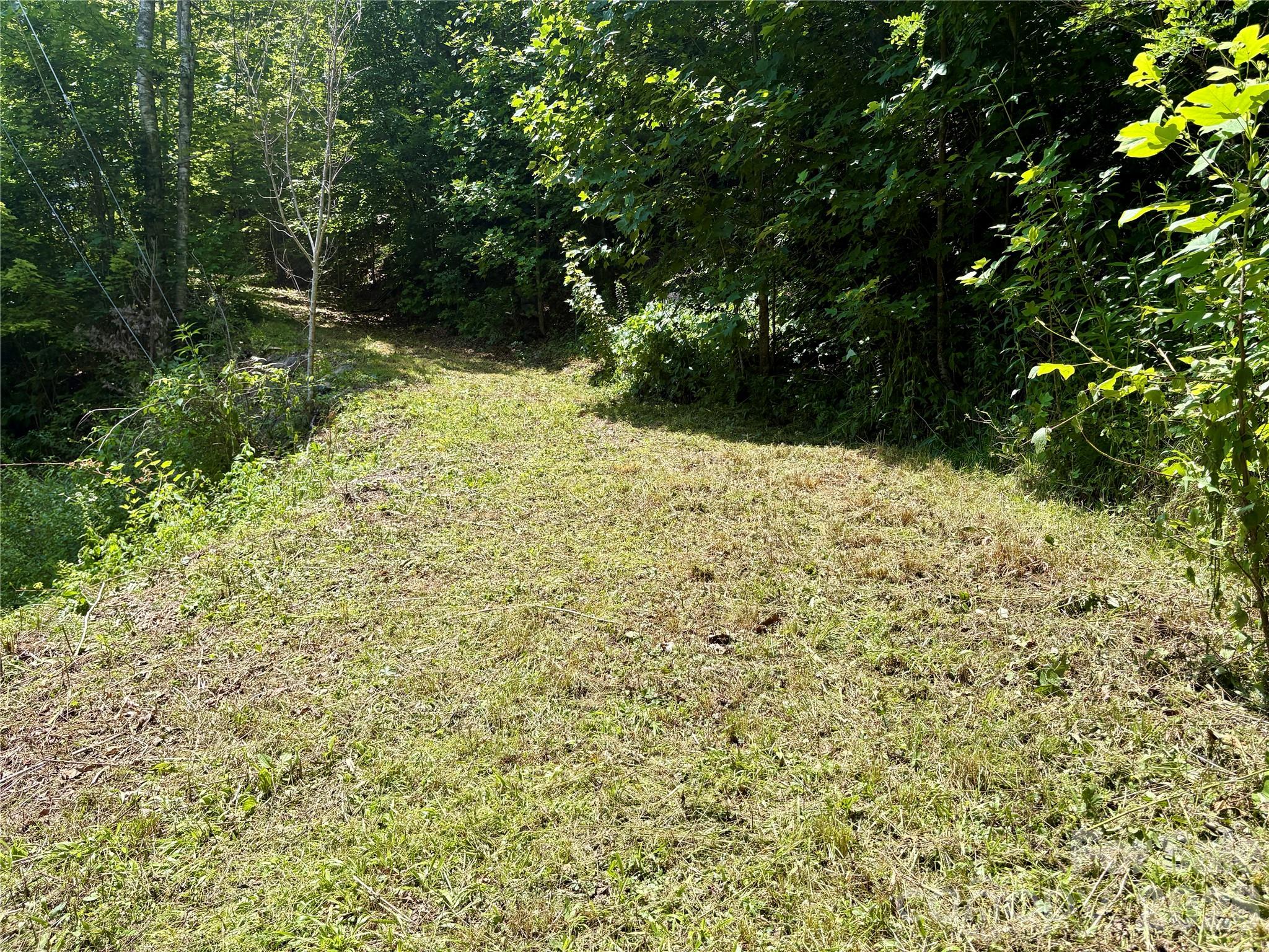 0 Eagles Roost Road, Unit 70 Bryson City, NC 28713 - Photo 7 of 14 a view of a yard with a tree