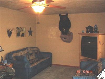 535 Sid Road Union City, MI 49094 - Photo 4 of 16 Additional Photo