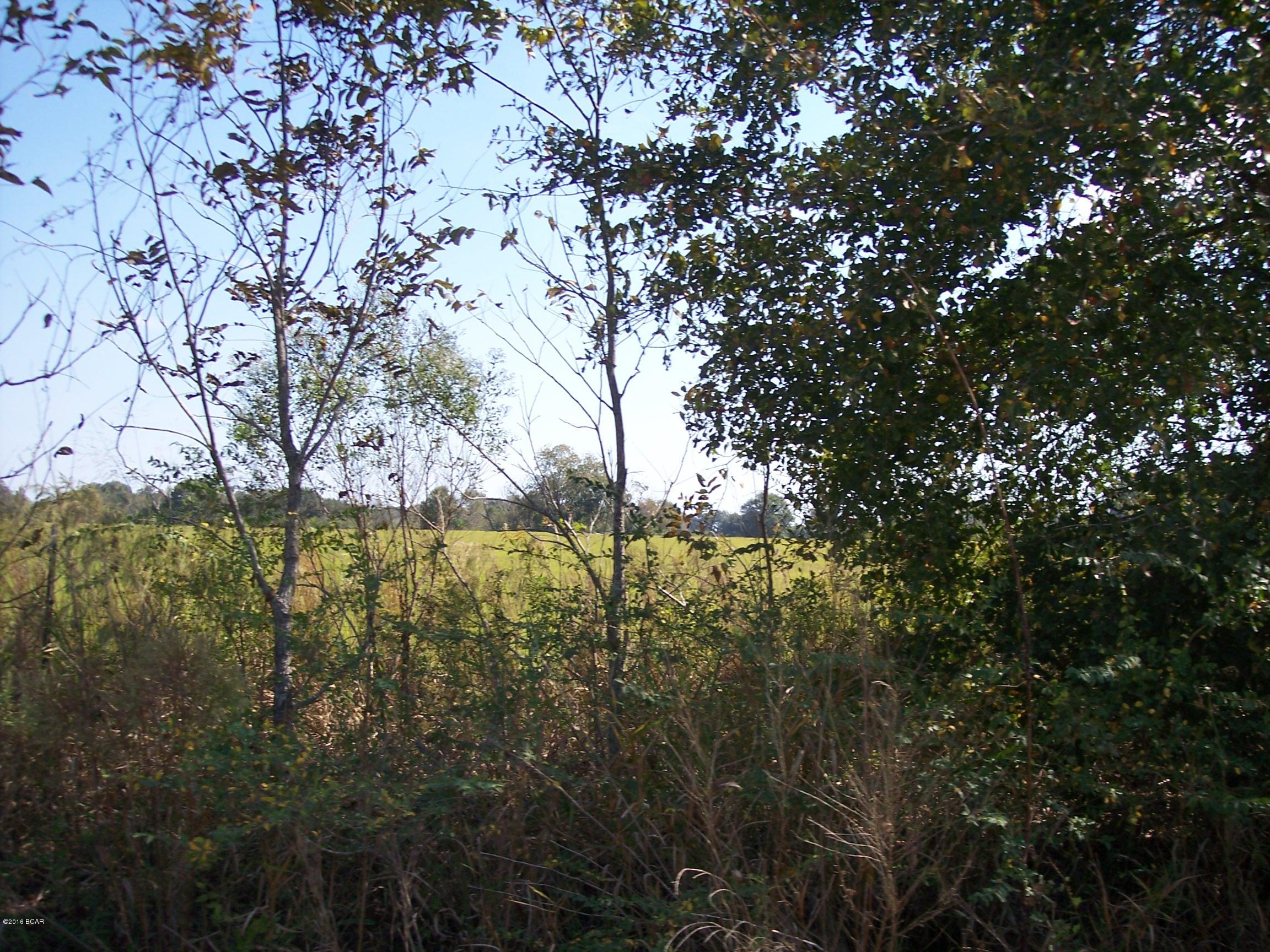 1251 Bunker Road Graceville, FL 32440 - Photo 8 of 8 Gallery Image 8