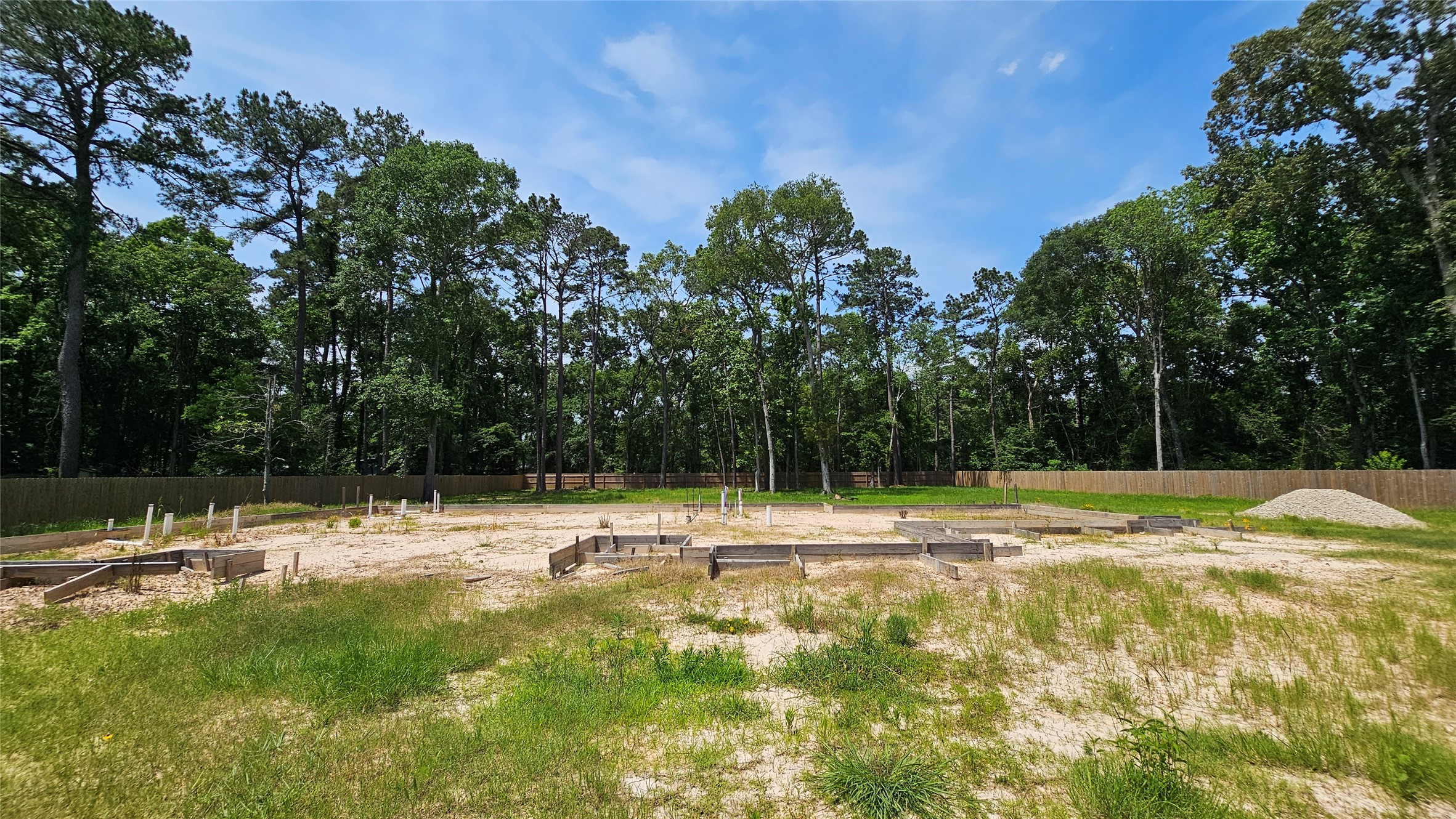 369 County Road 356 New Caney, TX 77357 - Photo 5 of 9 a view of back yard with trees