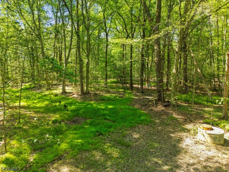 0 Homestead Road Gillette, NJ 07933 - Photo 14 of 26