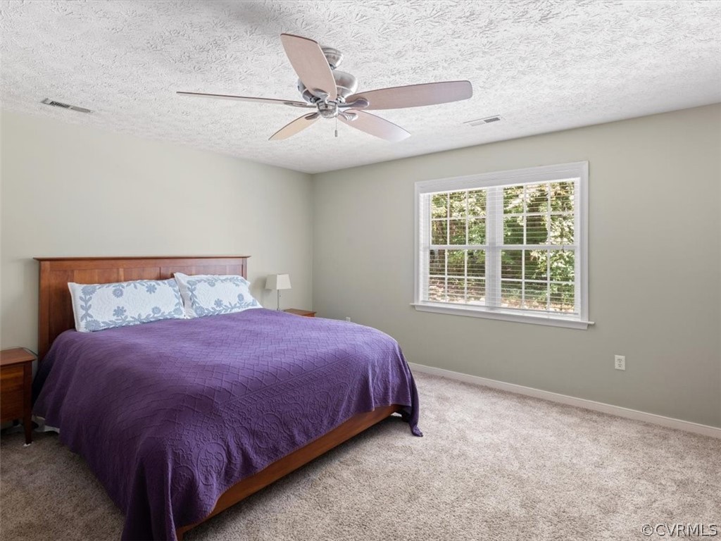 24141 Pear Orchard Road Moseley, VA 23120 - Photo 14 of 21 Gallery Image 14