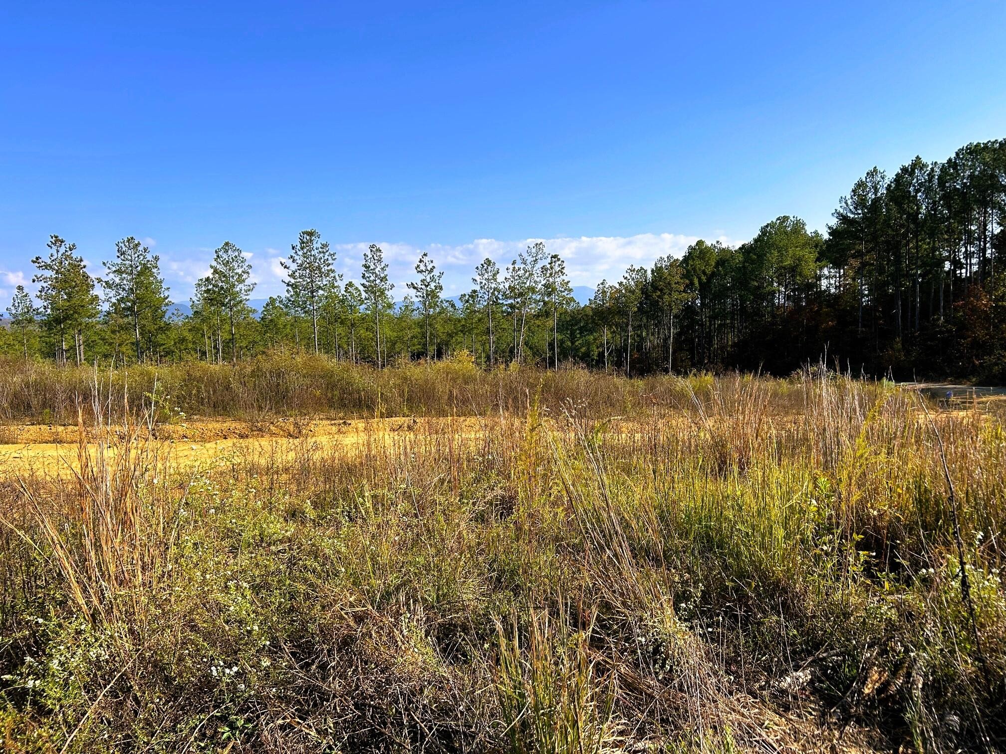 17 Hughes Lake Road Southeast Cleveland, TN 37323 - Photo 2 of 25