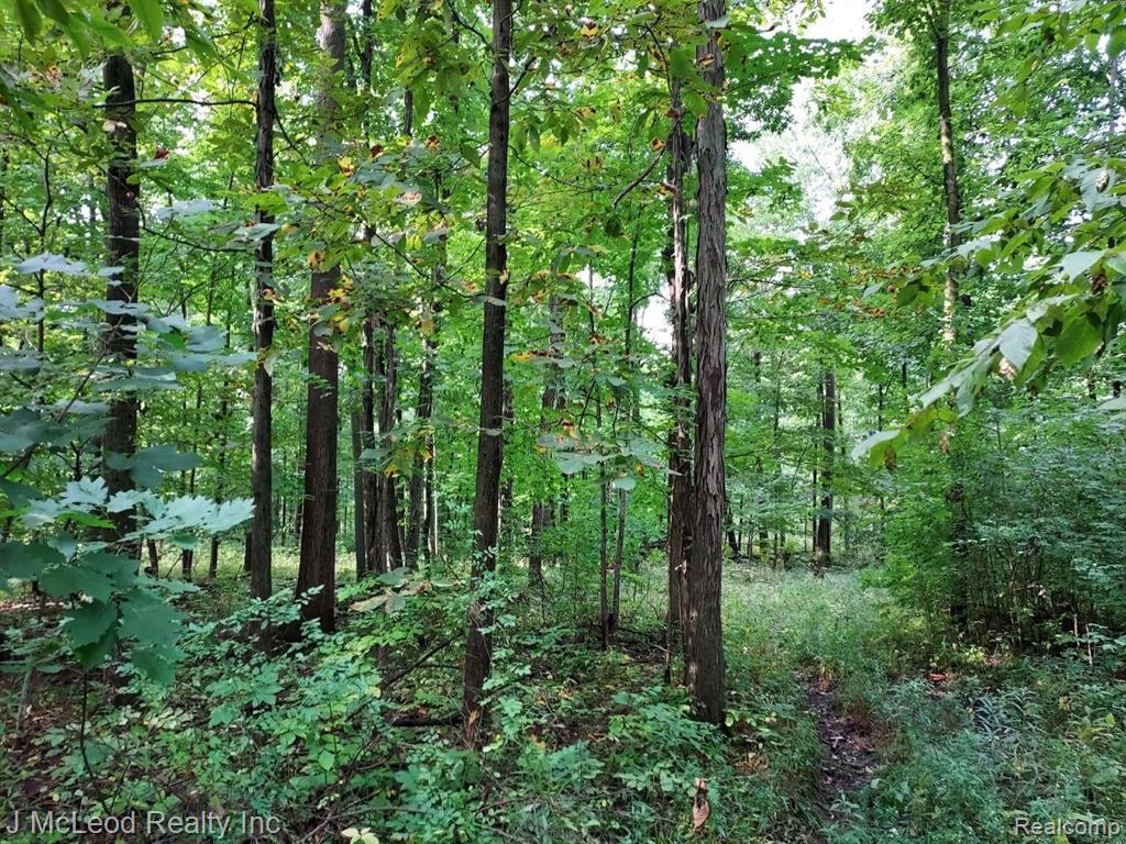 Vl Vassar Road Millington, MI 48746 - Photo 13 of 26