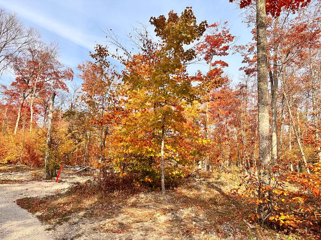 Lot 4 Isle View Road Ellison Bay, WI 54210 - Photo 10 of 11