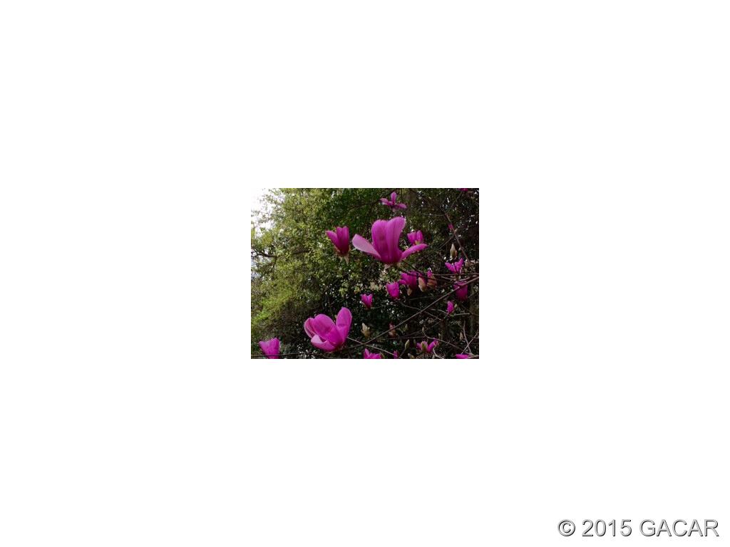 7900 Southwest 8th Avenue Gainesville, FL 32607 - Photo 24 of 24 Flowering Trees & Shrub