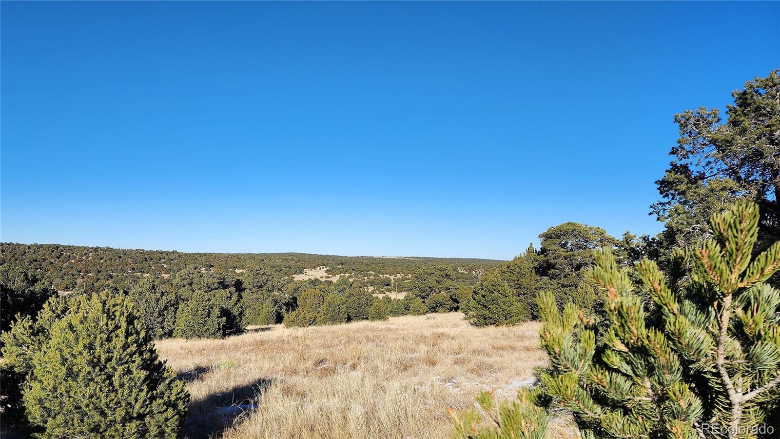 127 Navajo Ranch, Unit 4 Walsenburg, CO 81089 - Photo 13 of 29