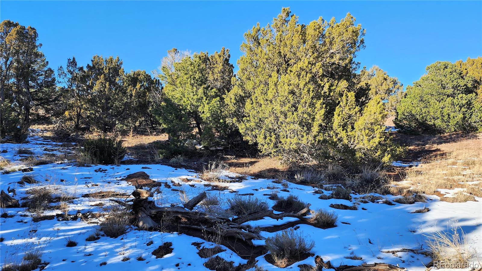 127 Navajo Ranch, Unit 4 Walsenburg, CO 81089 - Photo 14 of 29