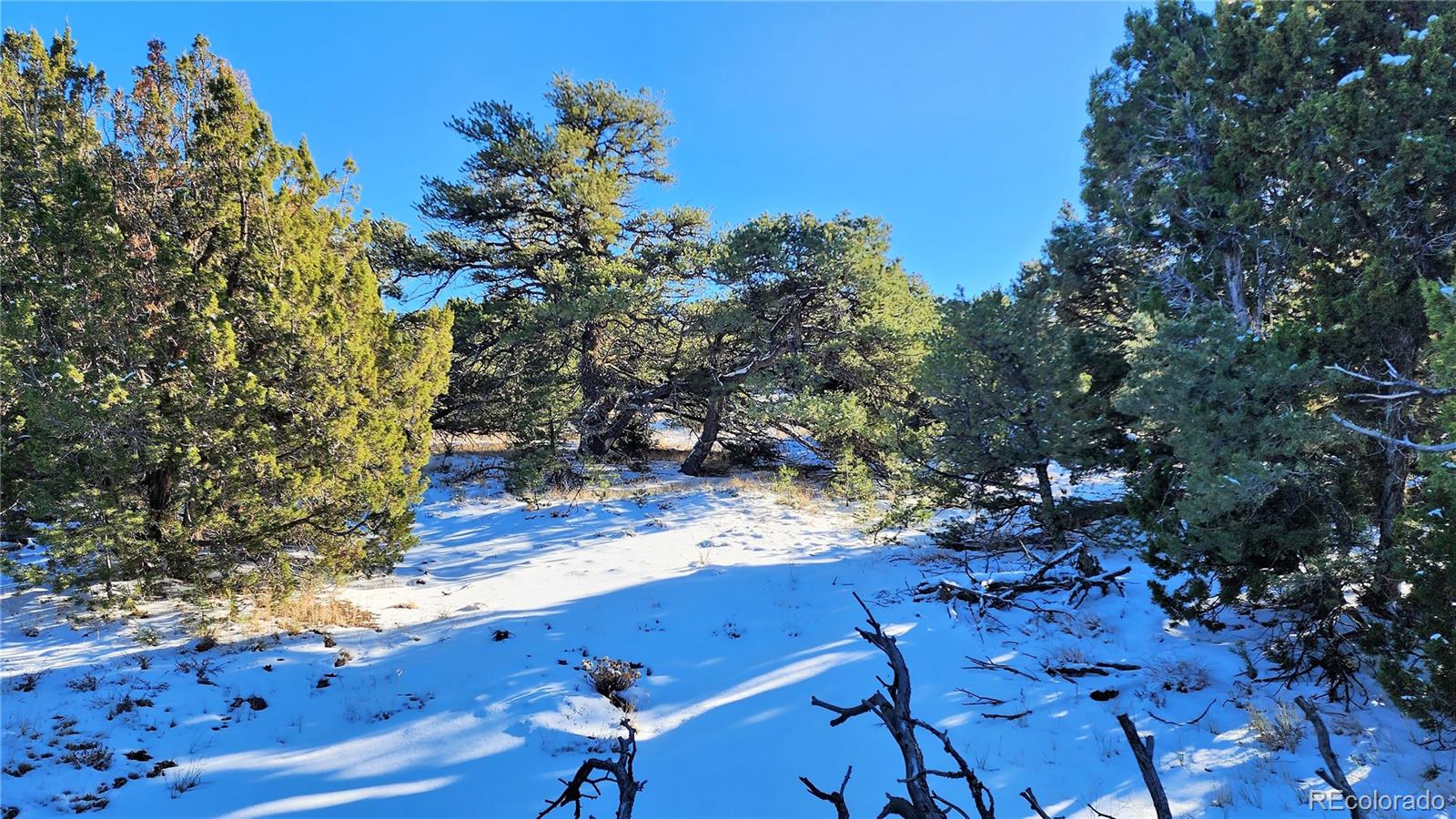 127 Navajo Ranch, Unit 4 Walsenburg, CO 81089 - Photo 18 of 29