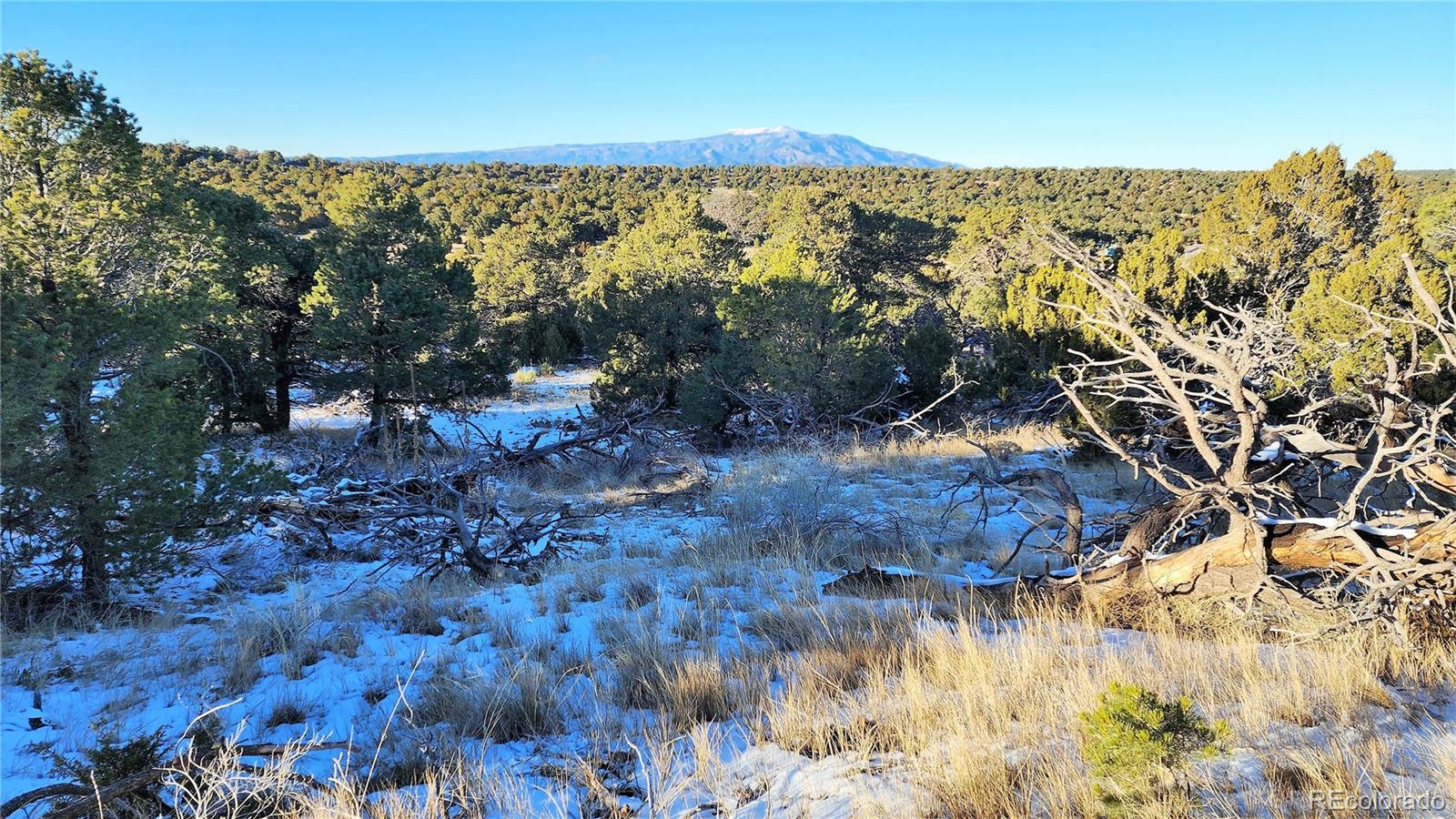 127 Navajo Ranch, Unit 4 Walsenburg, CO 81089 - Photo 27 of 29