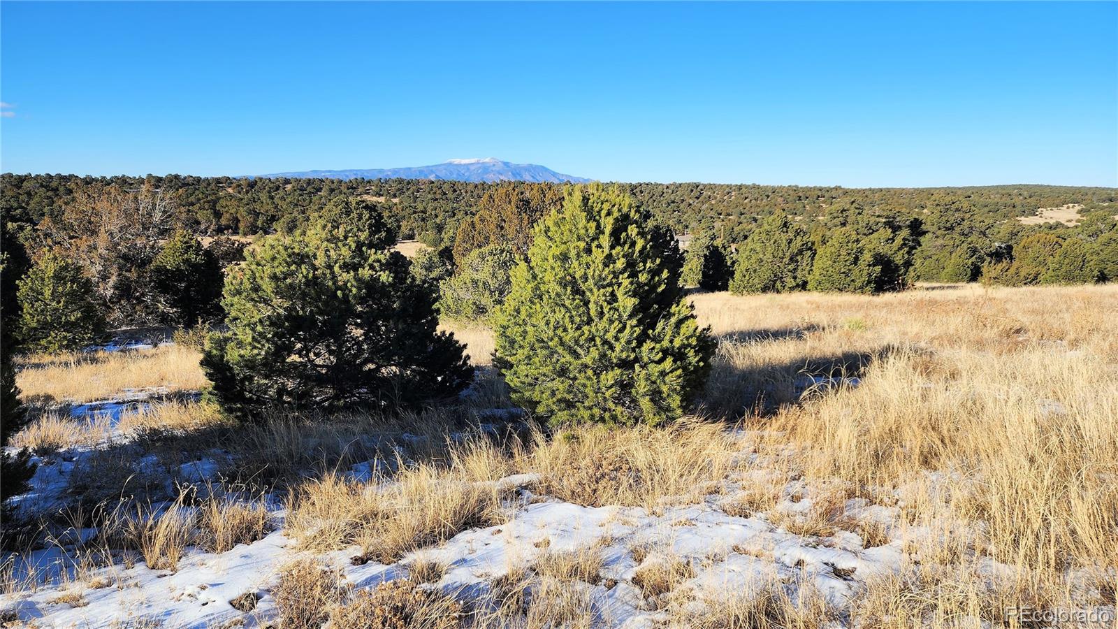 127 Navajo Ranch, Unit 4 Walsenburg, CO 81089 - Photo 4 of 29