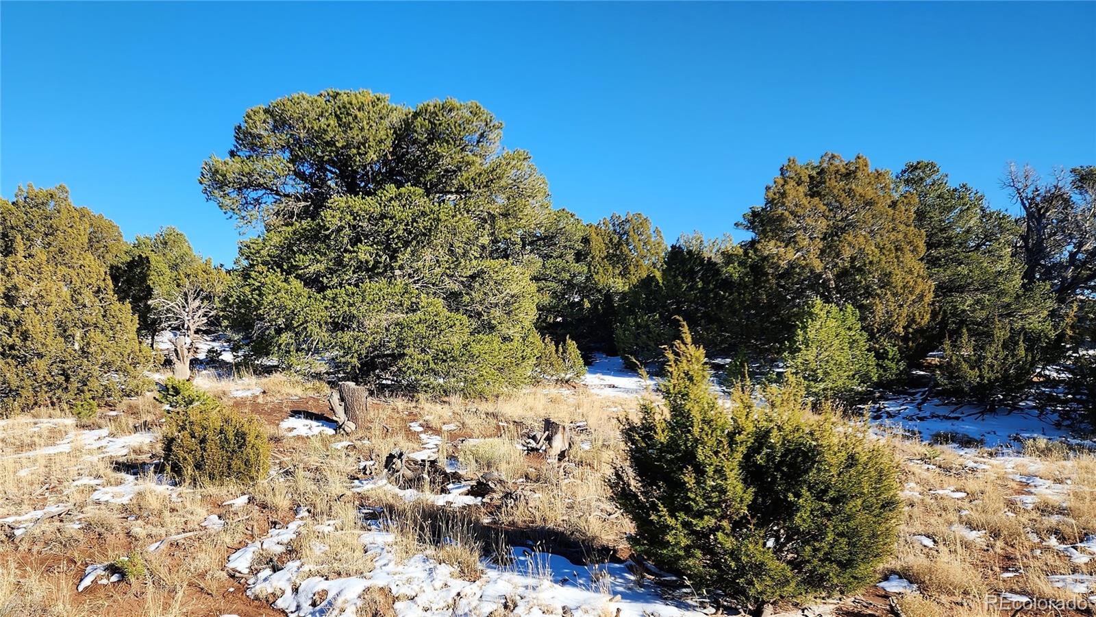 127 Navajo Ranch, Unit 4 Walsenburg, CO 81089 - Photo 8 of 29