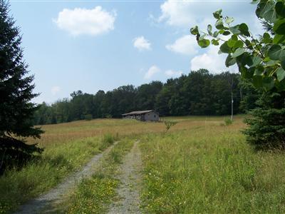 140 Left Pines Brook Road Walton, NY 13856 - Photo 1 of 1 Gallery Image 1