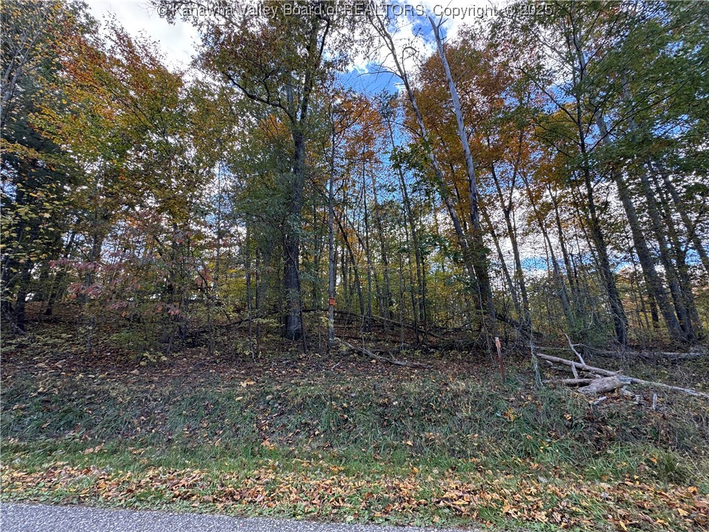 Tbd Bee Ridge Road Leon, WV 25123 - Photo 1 of 1 Gallery Image 1