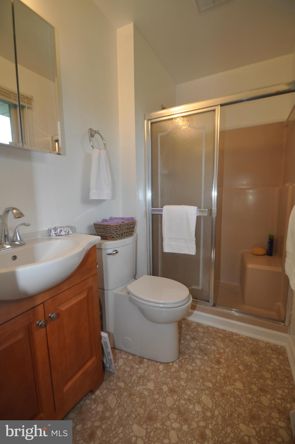 5168 Perry Road Mount Airy, MD 21771 - Photo 12 of 30 Bath (Master)