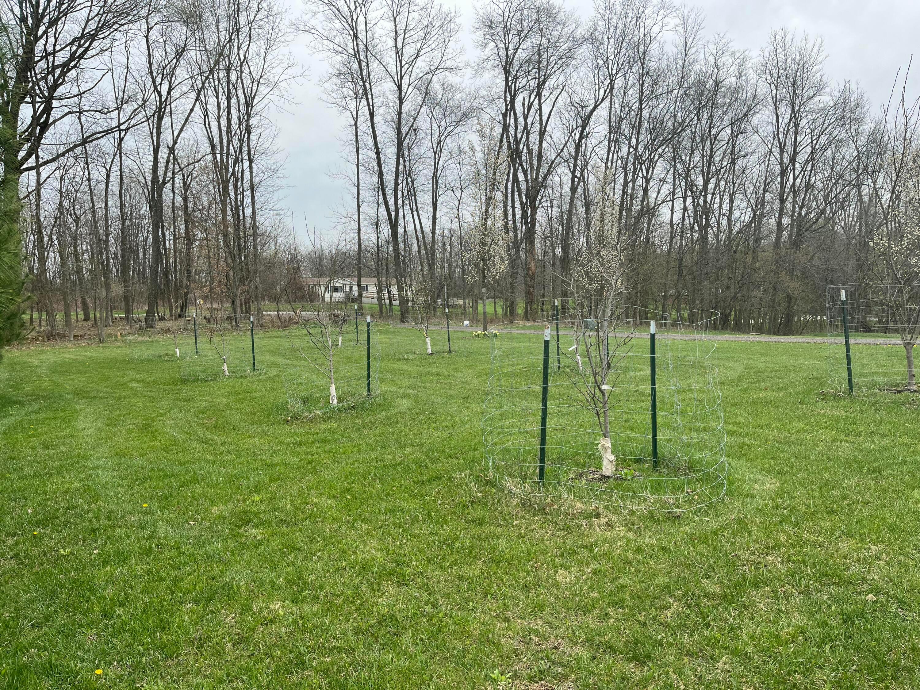 7705 Camp Road Mount Vernon, OH 43050 - Photo 21 of 22 Orchard