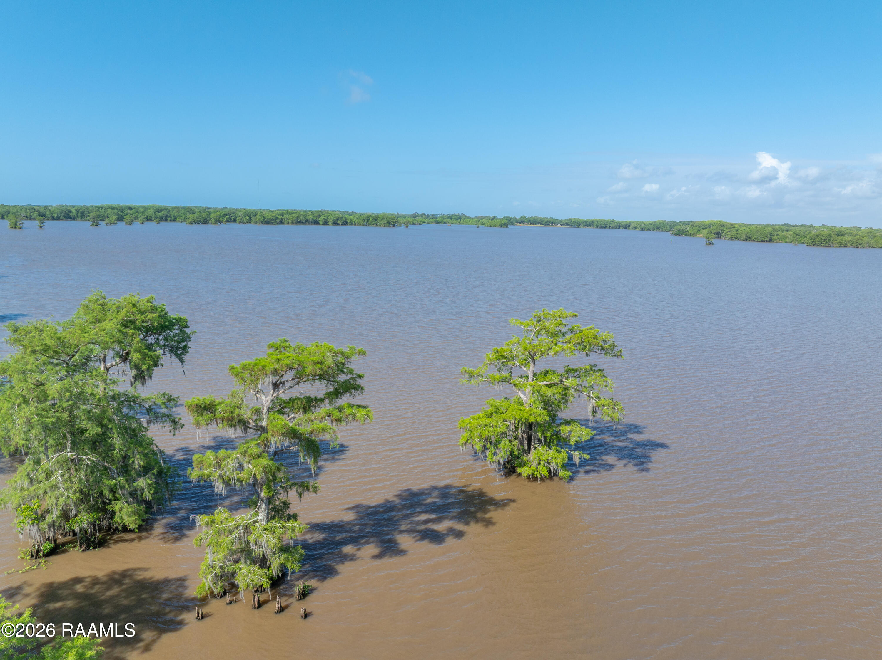 595 Iowa Gueydan, LA 70542 - Photo 16 of 16 LakeArthurLots-16