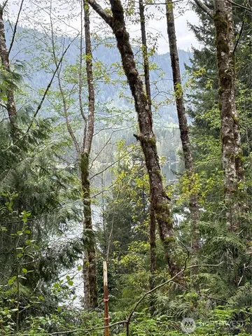 a view of a street with potted plants and tree