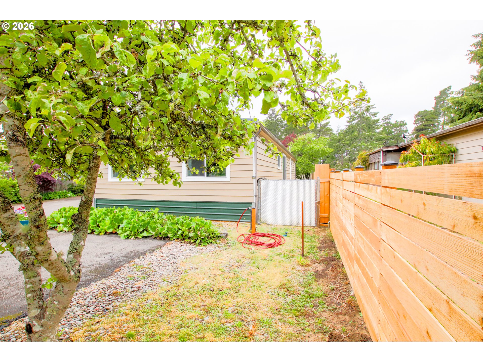 1431 Maple Street Florence, OR 97439 - Photo 42 of 43 a view of a backyard with plants