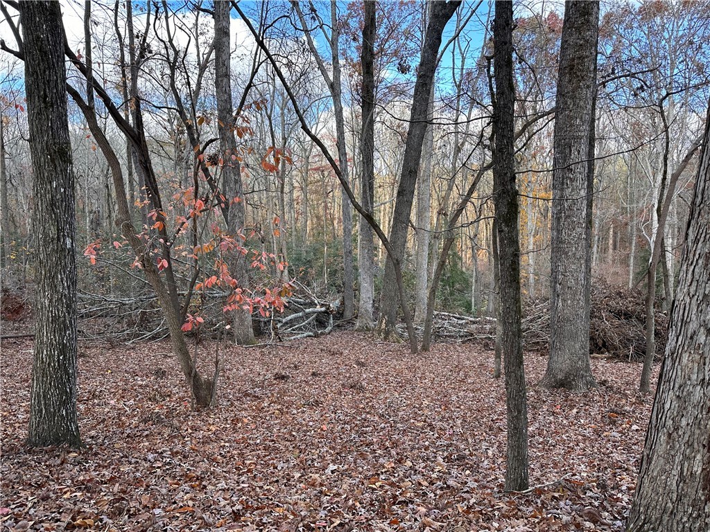 2602 Winding Brook Anderson, SC 29621 - Photo 3 of 8