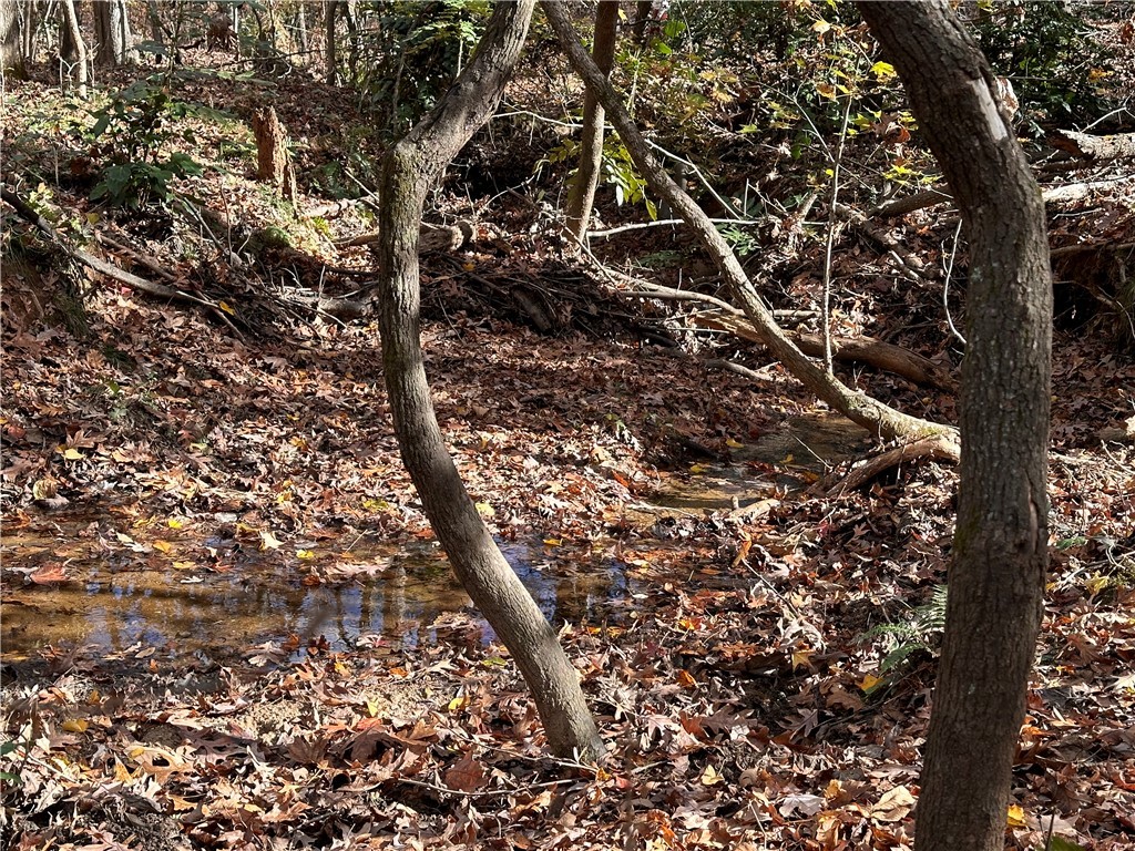 2602 Winding Brook Anderson, SC 29621 - Photo 7 of 8