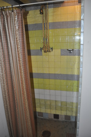 701 Preston Avenue Elgin, IL 60120 - Photo 12 of 13 a bathroom with a shower