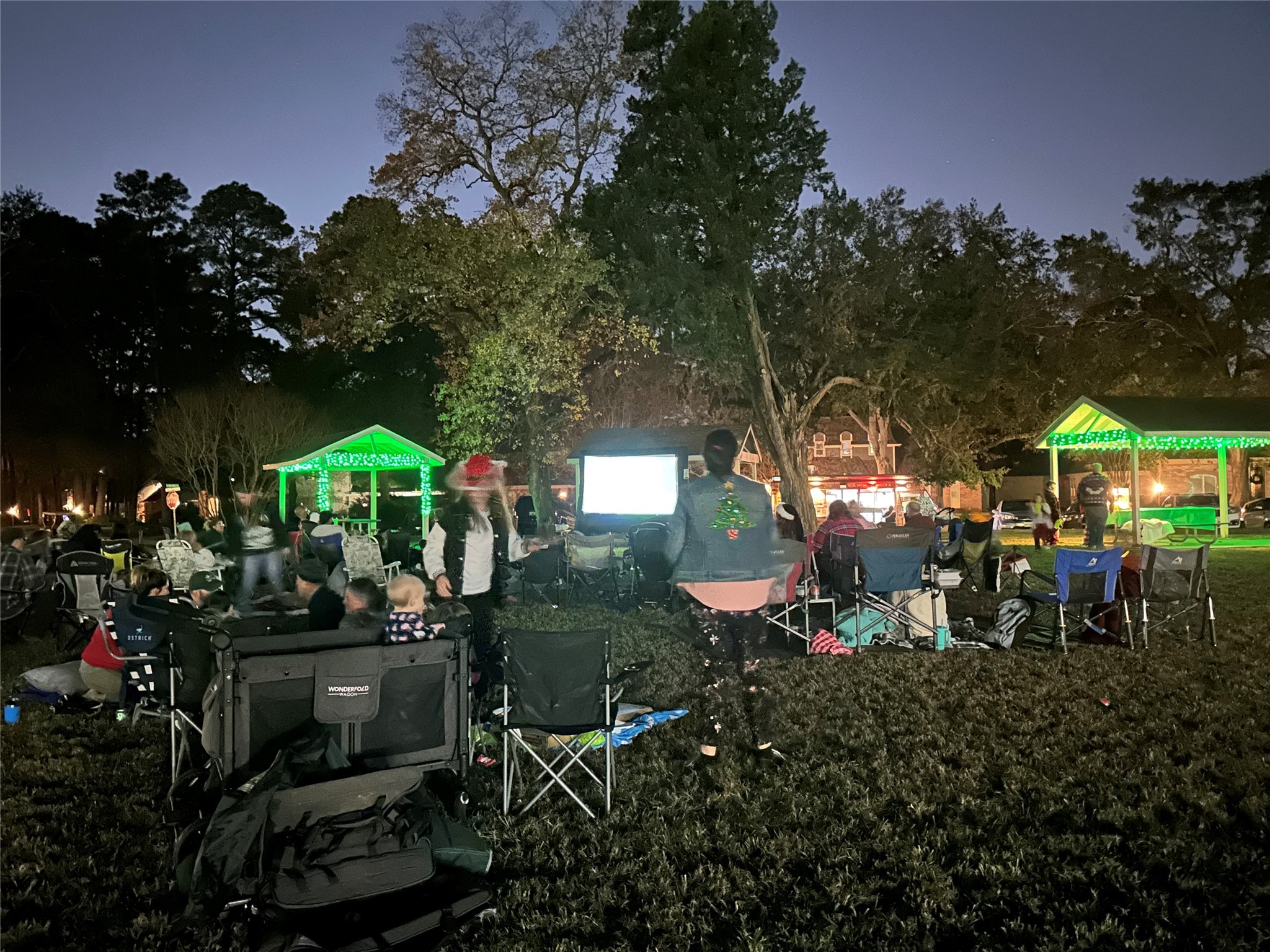 17423 Fairway Oaks Drive Spring, TX 77379 - Photo 47 of 50 Movie night is one of many events the Social Committee Chair does in SCF to have neighbors become friends.