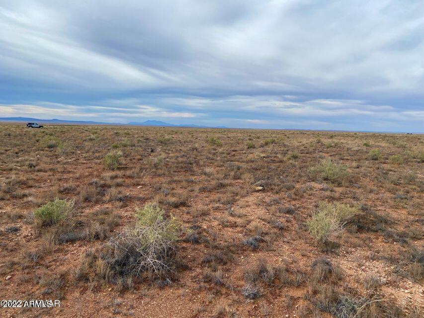 0 Carter Road Heber, AZ 85928 - Photo 4 of 18 20211103222754399799000000-o