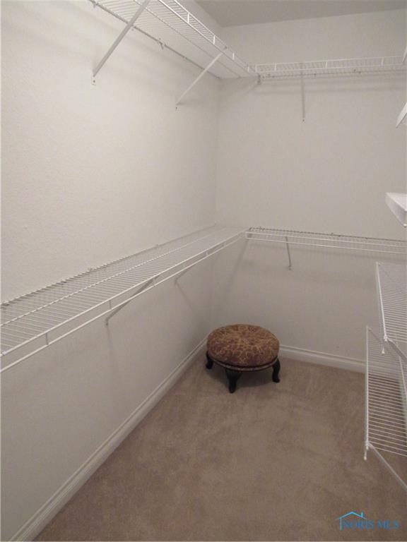 4280 Crystal Ridge Maumee, OH 43537 - Photo 19 of 26 Gallery Image 19