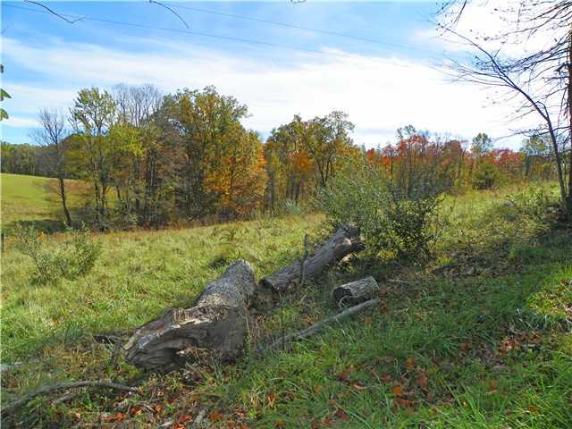 24553 Miller Road Rockbridge, OH 43149 - Photo 25 of 25 Gallery Image 25