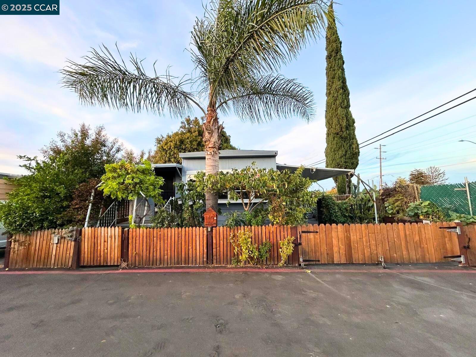 a view of backyard with palm tree