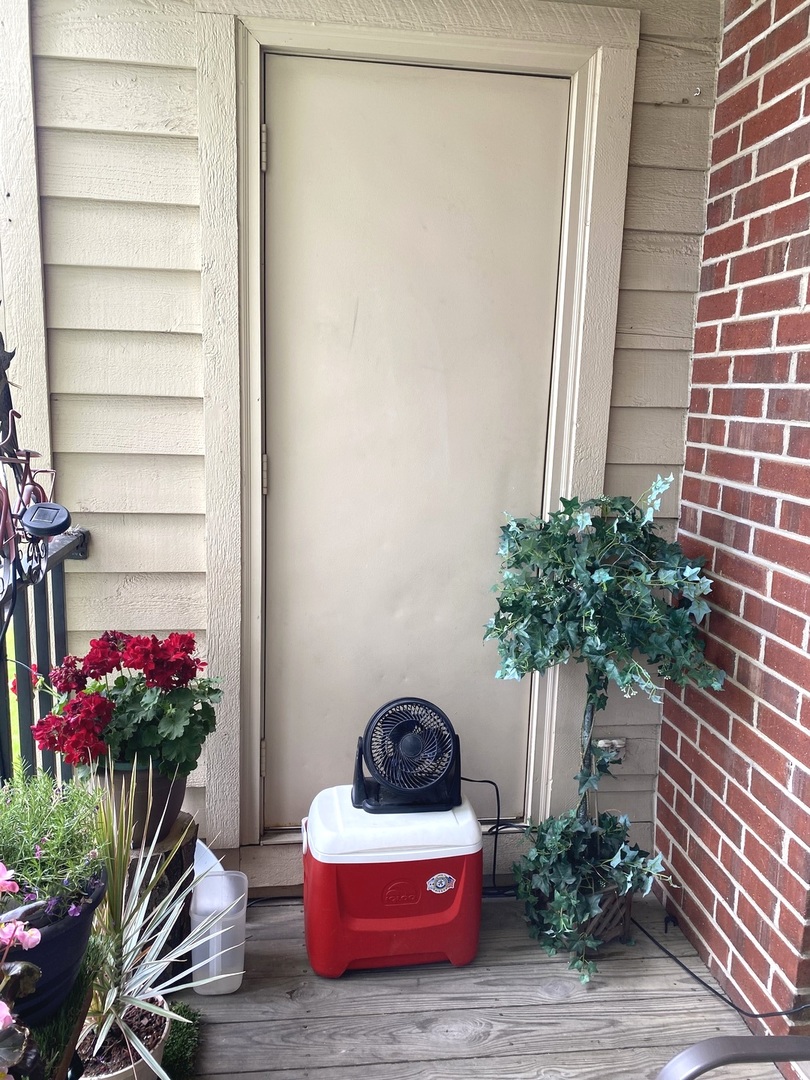 2038 North Rand Road, Unit 212 Palatine, IL 60074 - Photo 13 of 27 a potted plant sitting in front of a house