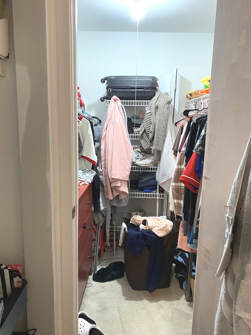 2038 North Rand Road, Unit 212 Palatine, IL 60074 - Photo 22 of 27 a view of walk in closet with clothes and shoes