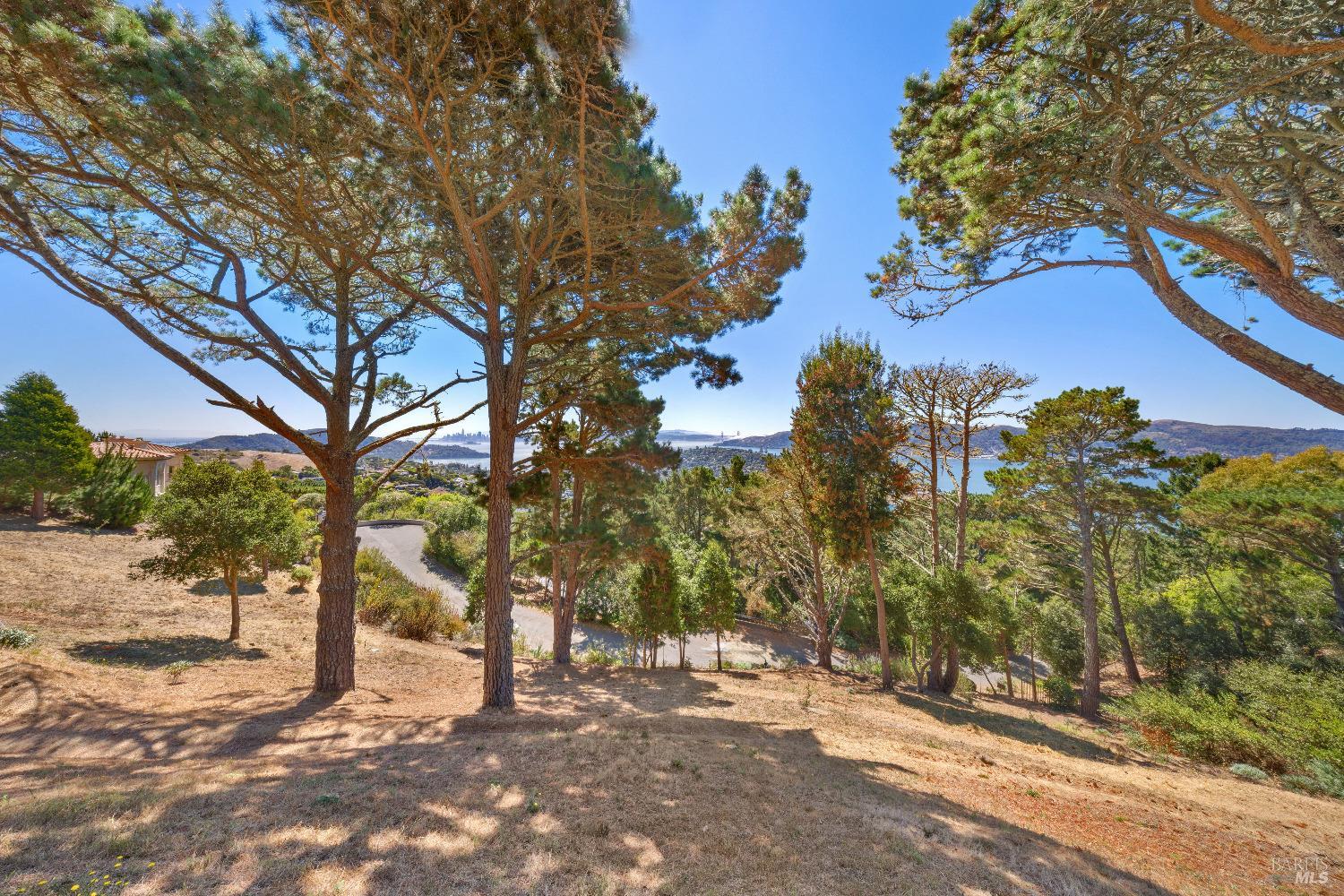 107 Mt Tiburon Road Tiburon, CA 94920 - Photo 14 of 20