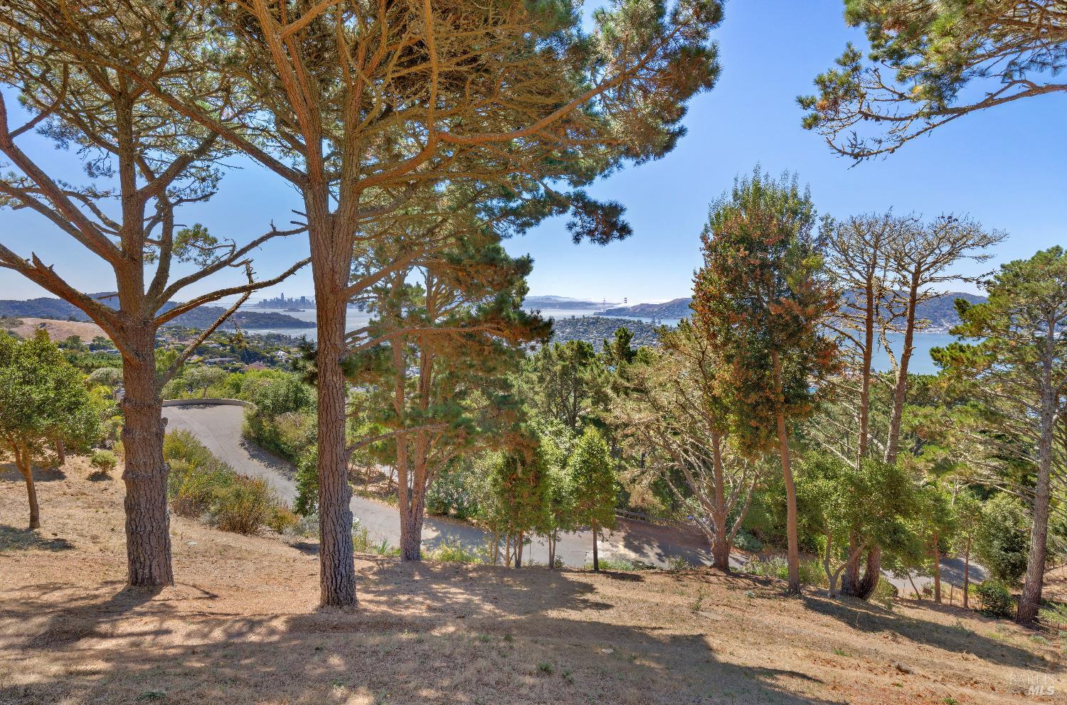 107 Mt Tiburon Road Tiburon, CA 94920 - Photo 15 of 20